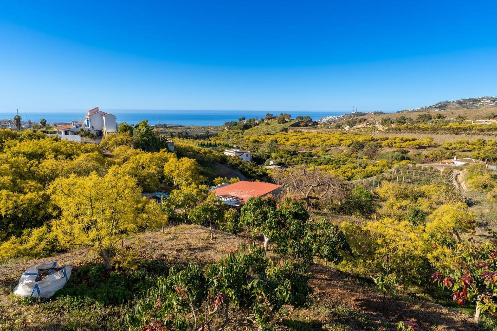 Casa Herrero Nerja Buitenkant foto